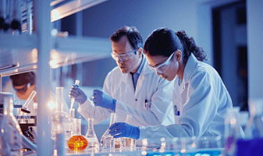 1760084560325164.png image.png